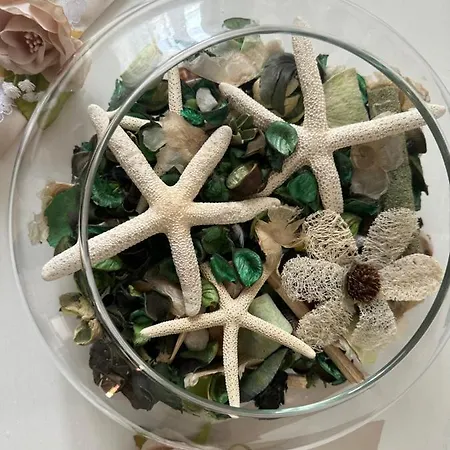 Сasa de vacaciones Vicolo18