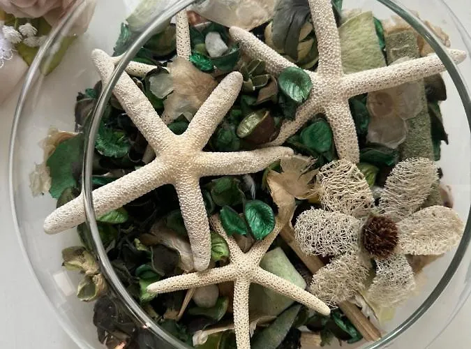 Casa de Férias Vicolo18